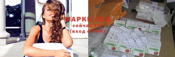 spice Приозерск