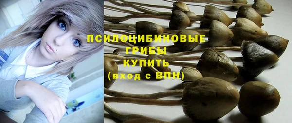 jwh Пролетарск