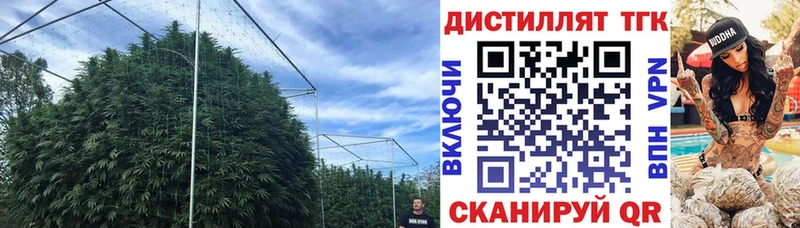 блэк спрут как зайти Усмань ТГК жижа