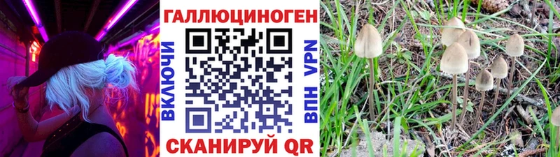 Псилоцибиновые грибы прущие грибы  продажа наркотиков  Усмань 